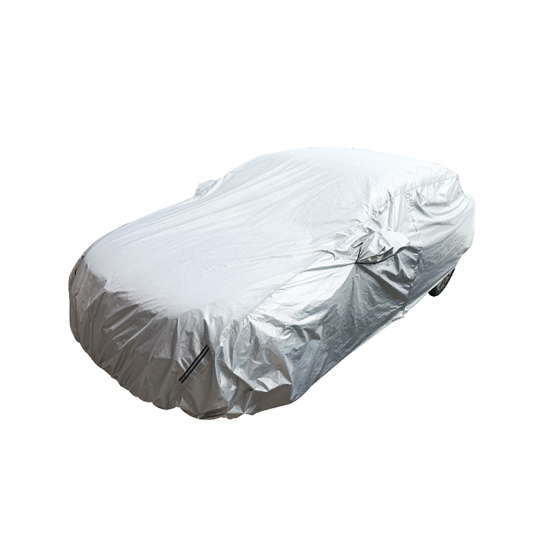 Enhancing Aesthetics and Function of Car Handle Protectors